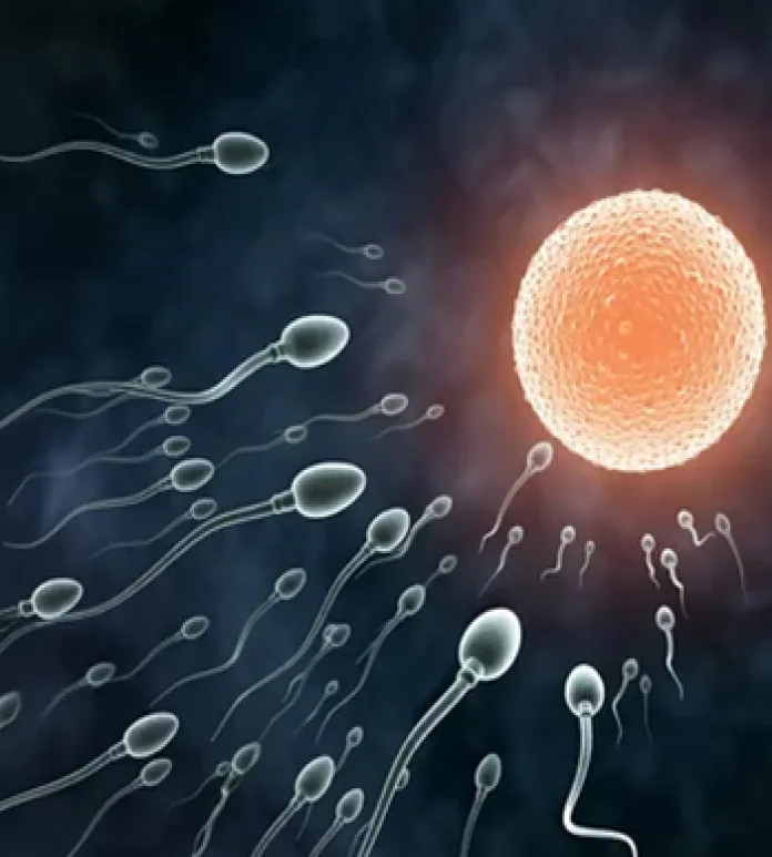 Sperm count